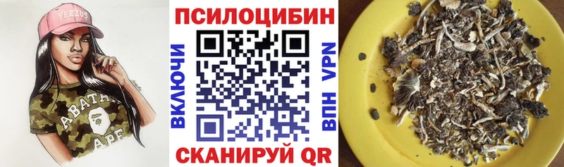 Псилоцибиновые грибы Psilocybine cubensis  Сусуман 